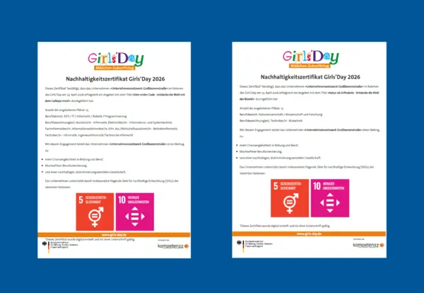 Netzwerk-Engagement beim Girls'Day ausgezeichnet