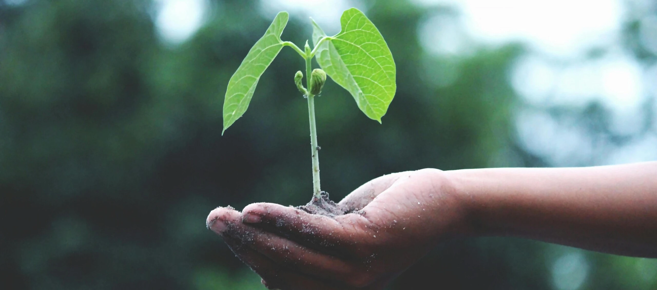 Netzwerk Großbeerenstraße e.V. Slideshow 1